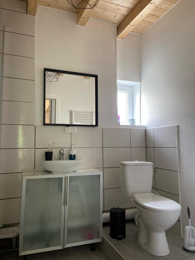Le Chene: Petit Chalet Cosy Proche De Mulhouse Riedisheim Exterior photo